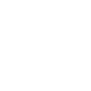 coaching for organizations